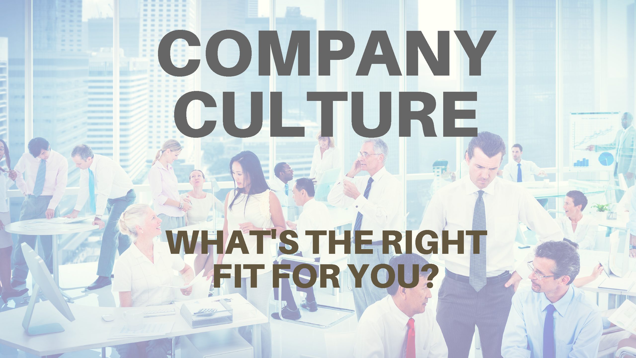 Company Culture: What are you looking for and how do you learn about a company’s culture?